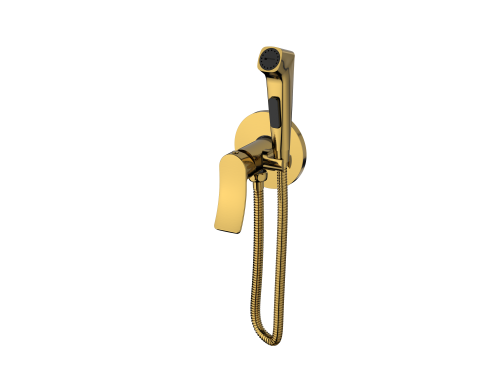 Встраиваемый смеситель с гигиеническим душем, Linea Brushed Gold, CETUS, CSLBGH553GY